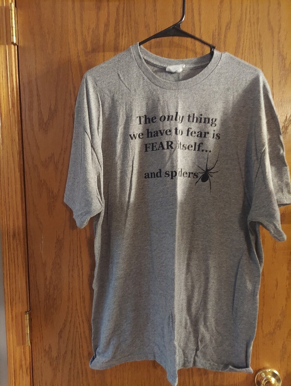 Delta Pro Weight Funny Graphic T-Shirt Gray "Fear Itself... and Spiders" Mens XL
